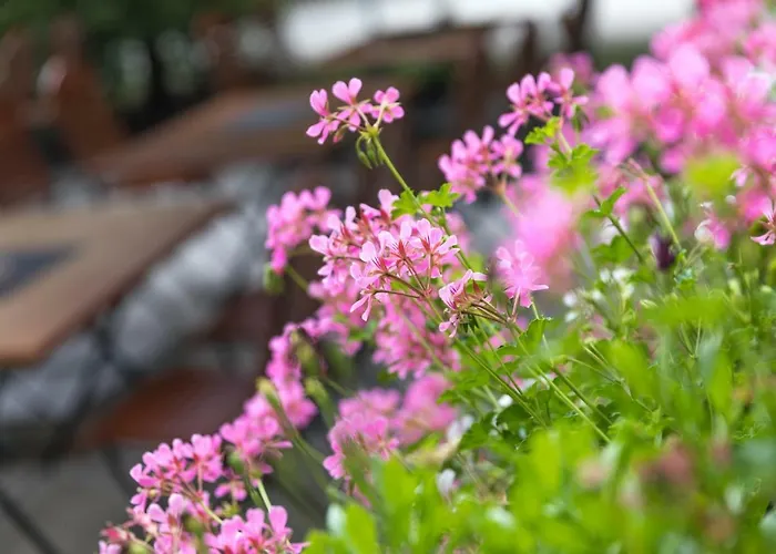 Galerie Leipziger Hof فندق لبسيا